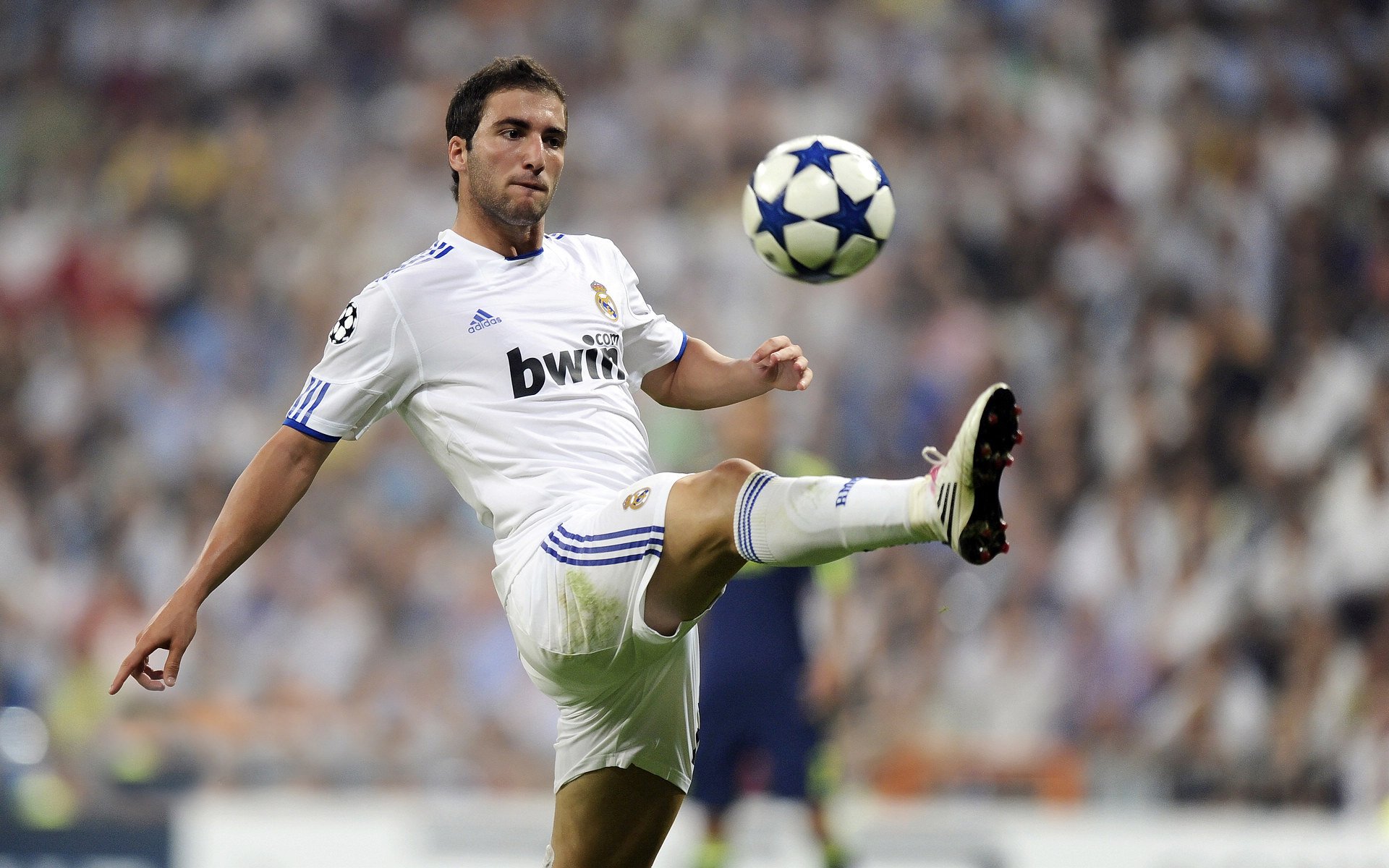 赛场上的唯一,德国足球的坚韧与戴资颖的领袖光芒